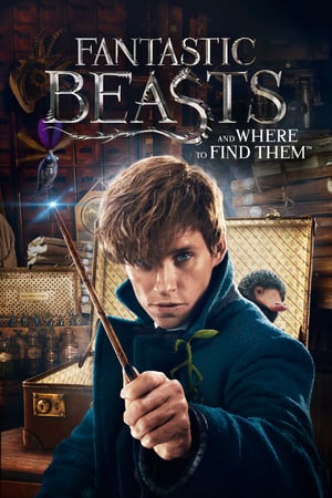 Fantastic Beasts and Where to Find Them / 神奇动物在哪里