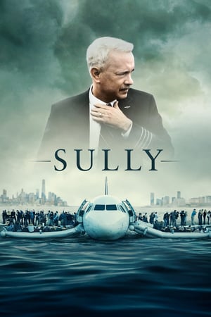 Sully / 萨利机长