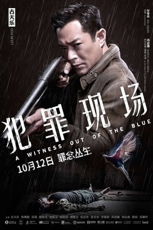 A WITNESS OUT OF THE BLUE / 犯罪现场